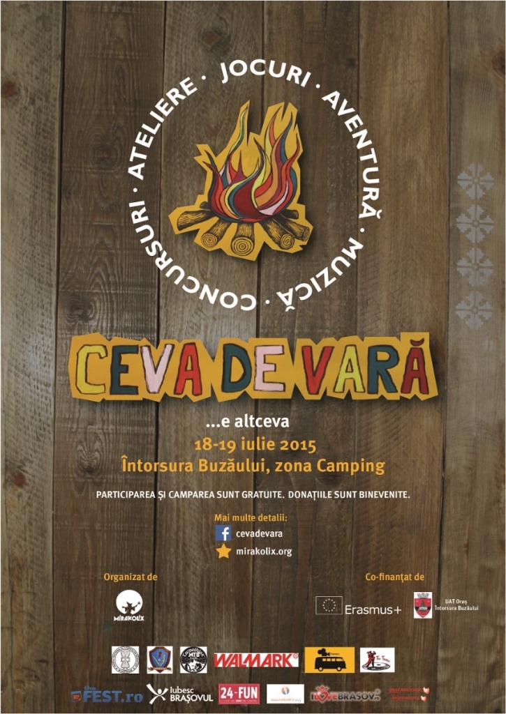 ceva-de-vara-20715315